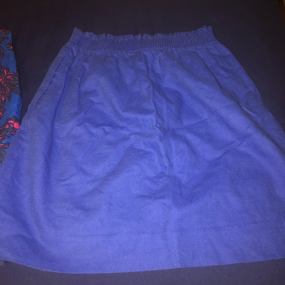 J.Crew City Skirt